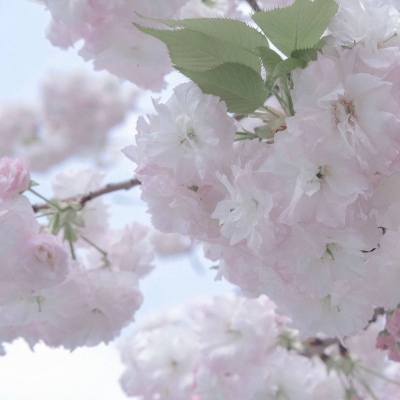 Furry插画氛围技巧兽圈社群